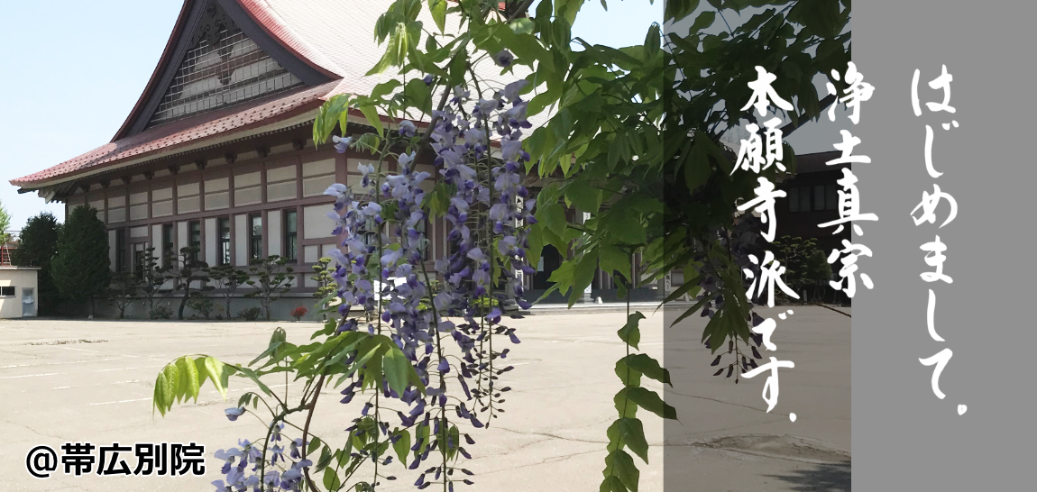 藤　帯広