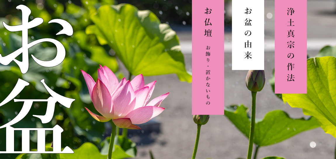 お盆特集