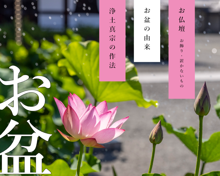 お盆特集