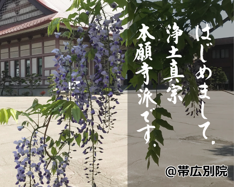 藤　帯広