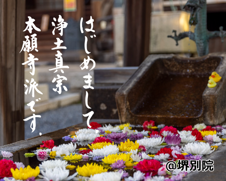 手水　堺