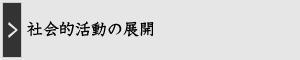 社会活動の展開